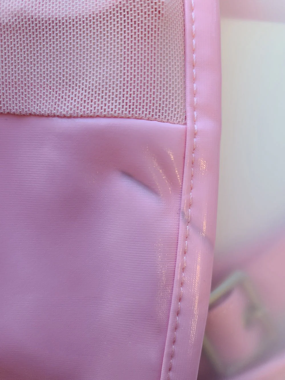 MARKED Pink Sheer Succubus Bodysuit - Image 4